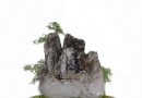 中国盆景之乡——四川郫县