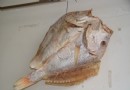红鳍笛鲷