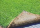 环保无土草坪的种植技术