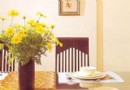 如何用植物装点清凉居室内