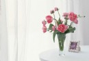 常用家庭鲜花养护的小知识