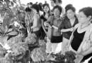 养花使我改了脾气当"花王"