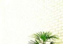 养生情调——养花也可长寿