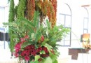 清爽花艺 给你一夏的清凉
