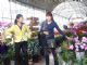 “国庆”大假将至  昆明盆花行情攀升