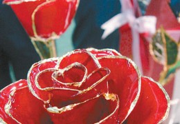 日本培育花卉新方法
