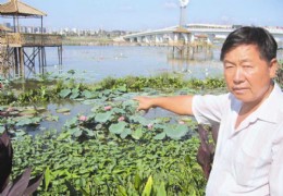 厦门园博园：水生植物大观园的反季荷花别样红