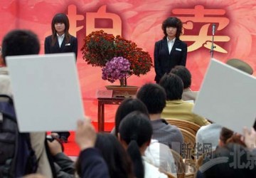 北京世界花卉大观园拍卖艺菊（图）