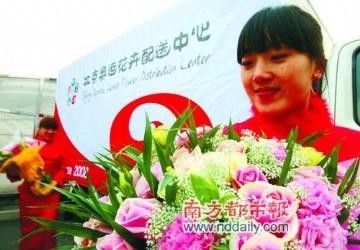 奥运花卉配送方案出台 现采现扎8小时内登台