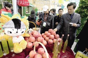 奥运备选花卉与推荐果品在北京农展馆展示(图)