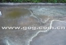 贵阳乌当：凌晨普降“花粉雨”