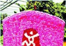 揭秘奥运期间花卉景观 遇极端天气备用花卉解围
