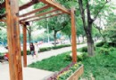 图片新闻：绿色扮美津城 市民享优雅环境