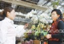 北京花市：“V3”蝴蝶兰俏销 一盆30多块钱