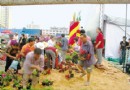 宜良：展出结束后 盆花遭市民哄抢【评】
