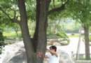 萧山：湘湖景区的植物挂上“身份证”（图）