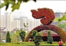图文：植物“奥运火炬”亮相天津市鼓楼北门