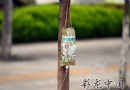 昆明市滇池路新栽树打“吊针”补水提高成活率