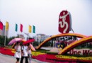 青岛公园凸显奥运元素 10万株花卉摆出奥运景(图)