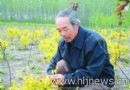 陈大玉：痴迷花木育种，以我之花装点奥运