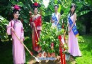 “我为奥运种棵树”青岛市花昨在济南生根(图)