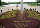 北安：20万株五色草栽种出了奥运福娃 传递奥运精神