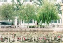 武清区积极发展社区绿化“ 处处绿色，处处是景”