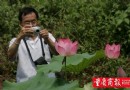 重庆市第十四届荷花展在华岩寺开幕奥运为主题