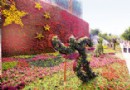 天津市街头出现立体绿化造型扮靓津城(图)