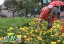 连日梅雨绿化带遭破坏为确保城市环境应及时处理