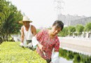 修剪民心河绿化带 突出植物立体效果 装扮城市环境