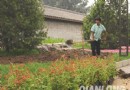 500万盆奥运花卉达80余个品种扮靓京城崇文区(图)