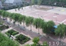 黑龙江：富锦消防倾力打造营区绿化美化工程