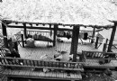 背负“额外功能” 绿地“气喘吁吁”把绿地还给居民