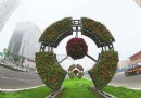 奥运花卉扮靓京城 造型新颖的花景将给中外游客带来全新视觉感受