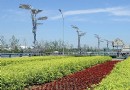 图文：国家游泳中心“水立方”附近的花坛