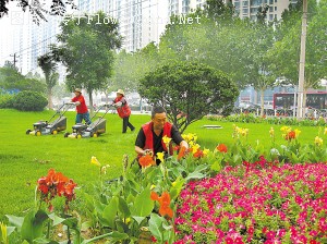 石家庄主干道陆续摆放花坛迎接奥运圣火
