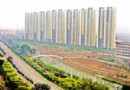 河道绿化工程一期完工 南运河展现新貌