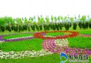 烟台：莱山区二十万鲜花笑迎奥运（图）