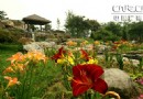 北京南站边添新景 万芳亭花卉中心落成