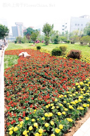 河东迎奥运景观工程竣工 人均绿地达8.3平方米