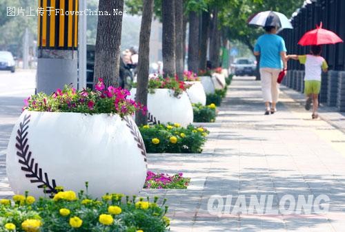 300个“垒球花坛”扮靓奥运垒球场(图)