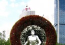 沈阳街头奥运植物景观 “腾飞”设计吸引市民