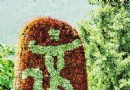 五环连五洲 万木共争辉—记北京植物园花卉展