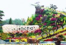 天安门广场花坛摆放初露“芳容” 奥运情浓