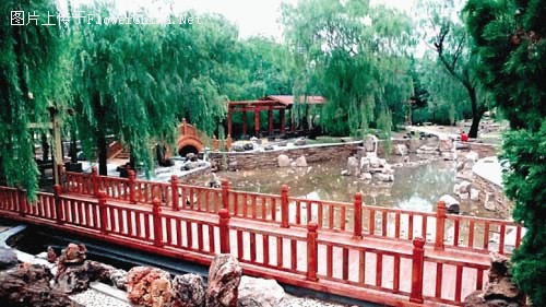 沈阳：投资2000多万 中山公园改造成生态园林 近日开放