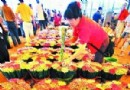 岭南花卉市场关闭是谣言 打造全国最大市场
