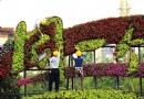 天安门广场国庆花坛以宫灯为“主”摆放工作已启动