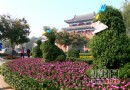 盛世金秋 汴菊争艳 2010年让我们相聚菊城开封