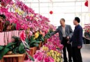 花卉超市广东最大   陈村花卉产业布局终端零售市场